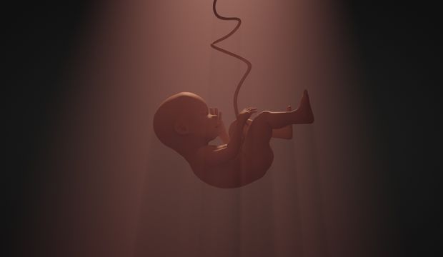 Yapay rahim nedir? Yapay rahim ve kürtaj kararı