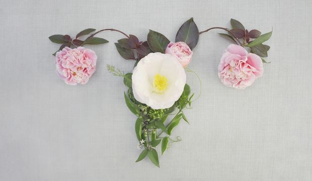 Pelvik taban nedir? Pelvik taban hastalıkları nelerdir?