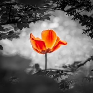 İşler ters gittiğinde de dayanıklı kalabilmek