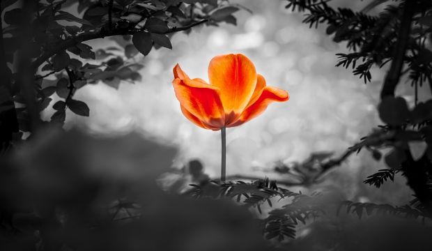 İşler ters gittiğinde de dayanıklı kalabilmek