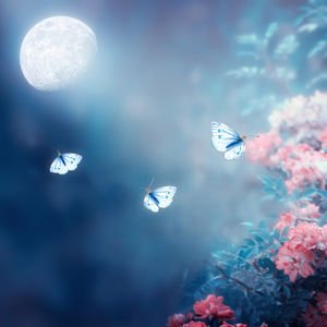 Haftalık burç yorumları: 15 - 21 Mayıs