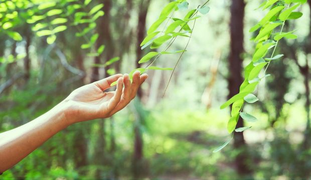 Kaygınızı doğal yollarla azaltmanın yolları nelerdir?