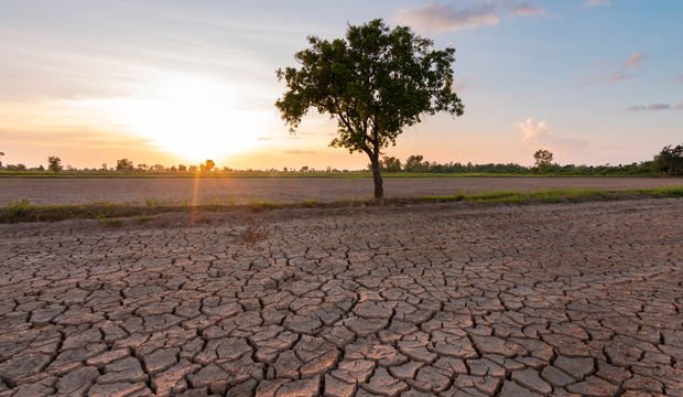 El Nino nedir? El Nino ne demek?