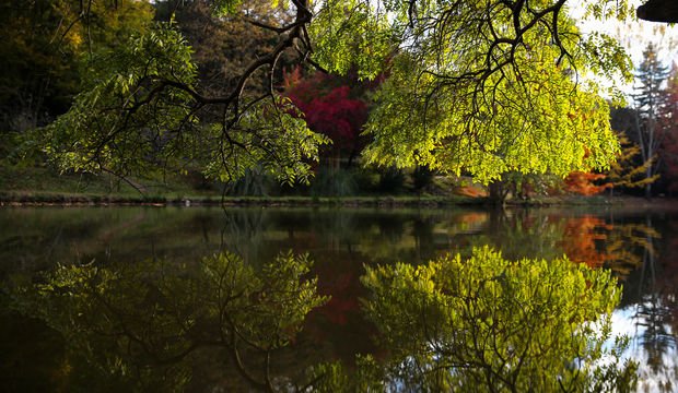 İstanbul’daki ormanlık alanlar ve tabiat parkları