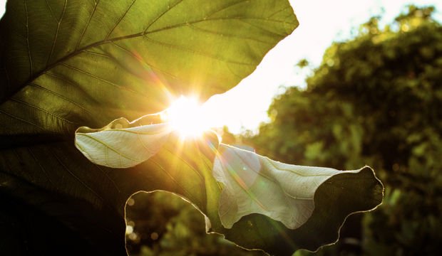 İyimser olmanın 8 yolu