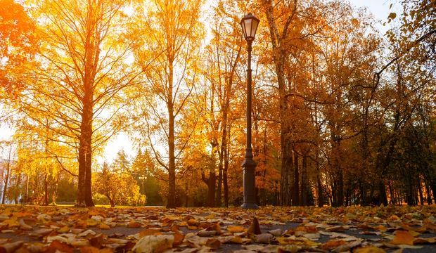 Sonbahar hazırlıklarınız tamam mı?