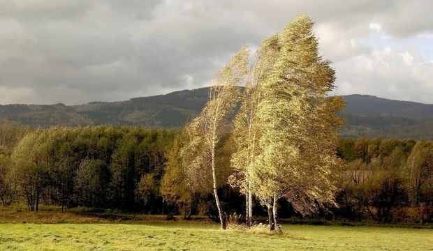 Rüzgardan ve fırtınadan korunmak için ne yapmalıyız?