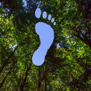 9 adımda karbon ayak izinizi azaltın