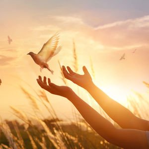 Ho’oponopono tekniği ile kendinizi affedin