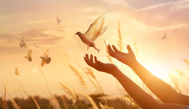 Ho’oponopono tekniği ile kendinizi affedin