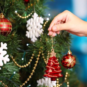 Çam ağacı süslemenin davası mı olur?