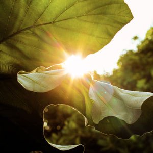 2025'te daha yeşil yaşamanın kolay yolları