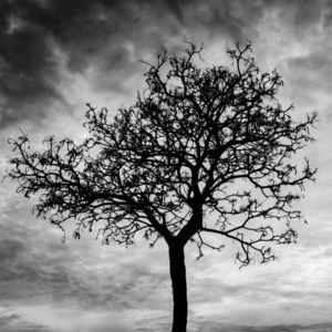 Yasın eşliğinde, depremin ardından