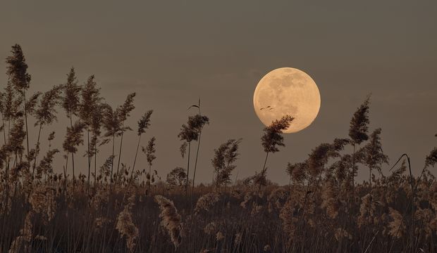 24 Şubat 2024 Başak burcunda Dolunay