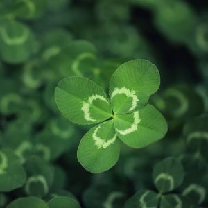 "Hayat, umutsuzluktan umut yaratmaktır"