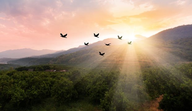 Mutlu olmak için alışkanlıklar yaratın