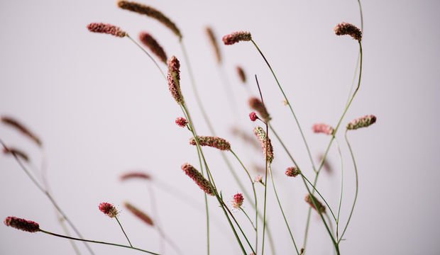 Düşüncelerinizi yeniden yapılandırabilirsiniz