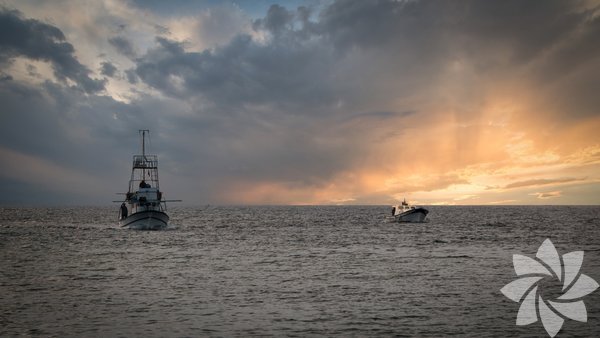 1083017_5d466575d236bbea2919f07c38d15f67_600x600.jpg