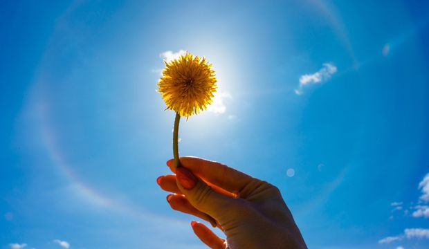 Halo etkisi nedir?