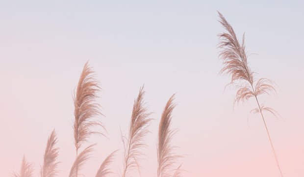 Haftanın astrolojik gündemi (29 Nisan - 5 Mayıs 2024)