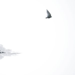 Yalnız bırakılmak