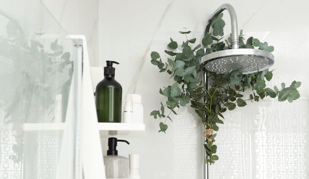 Duşa okaliptüs asmanın faydaları nelerdir?