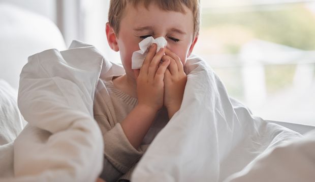 Sümük rengi neyi ifade eder?