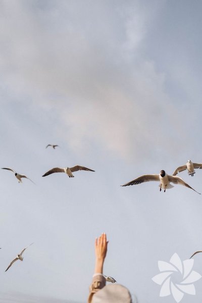 G�ne daha h�zl� bir ba�lang�� yapmak i�in 5 ipucu