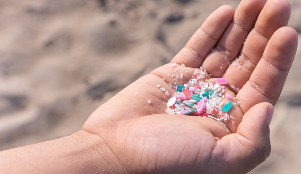 İnsanların ve köpeklerin testisinde mikroplastik bulundu