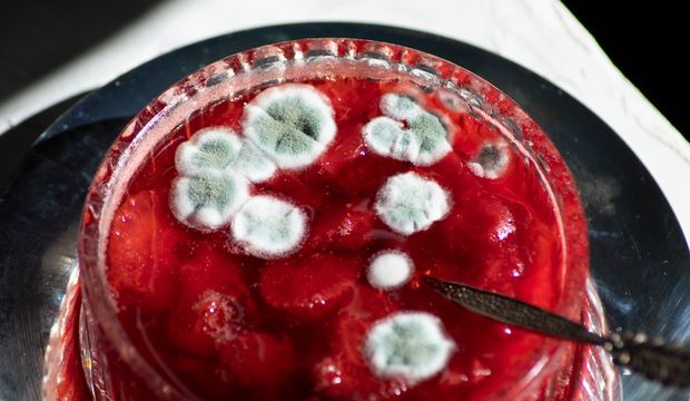 1083372_620x360.jpg