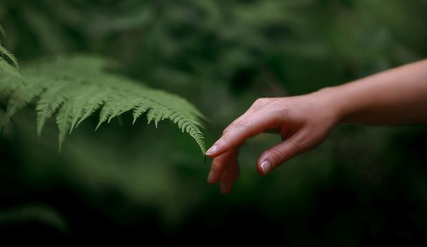 Haftanın astrolojik gündemi (17 Haziran 2024 haftası)