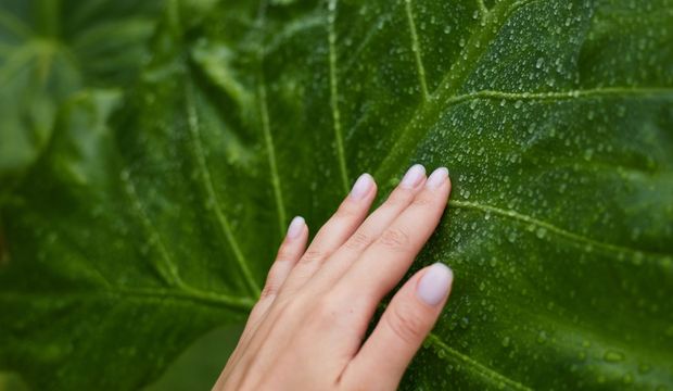 Zihni güçlendirmek için basit adımlar