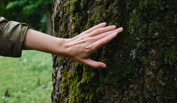 Doğadan öğrendiklerimiz...