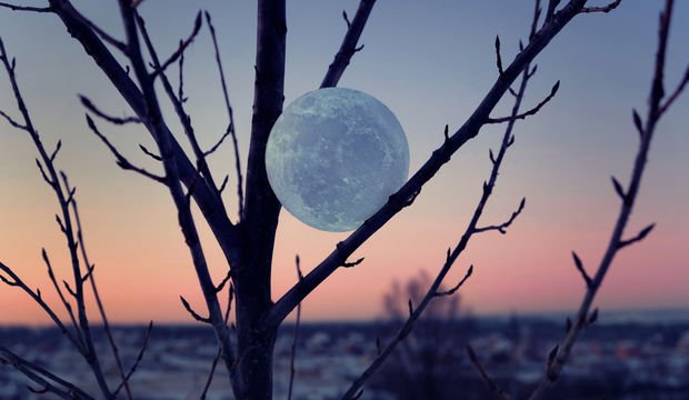 21 Temmuz 2024 Oğlak burcunda