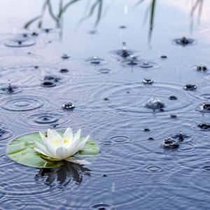 Yaz yağmurunun faydaları