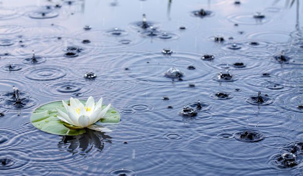 Yaz yağmurunun faydaları