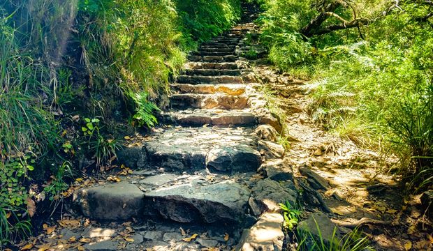 Maddi ve manevi bolluk bereket nasıl gelir?