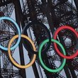 Paris Olimpiyatları’nda kadın sporcularımız neler yaptı?