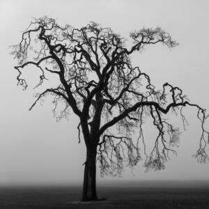 Korkularla yüzleşmek: İçsel gücünüzü keşfedin