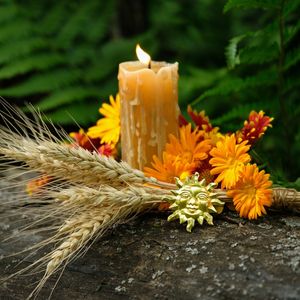  Aylık burç yorumları: Ekim 2024