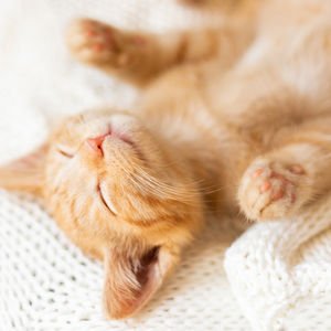 Sırt üstü uyumak beyin sağlığını etkiliyor!