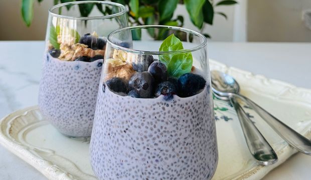 Yaban mersinli chialı puding