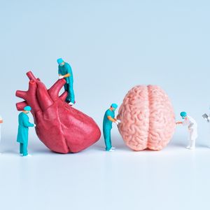 Sağlıklı bir kalp, sağlıklı bir beyin demektir