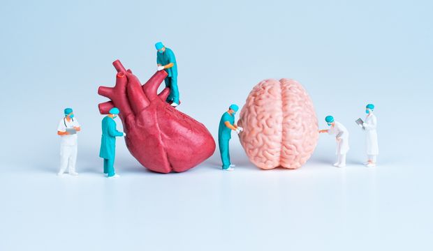 Sağlıklı bir kalp, sağlıklı bir beyin demektir