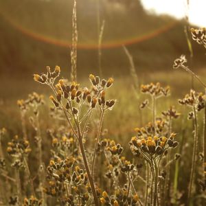 Zihninizi açacak sabah alışkanlıkları