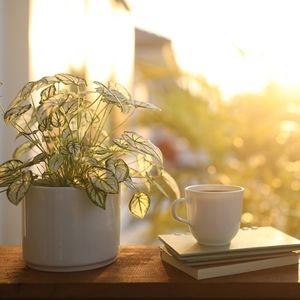 10 dakikada kendinize yapabileceğiniz 5 iyilik