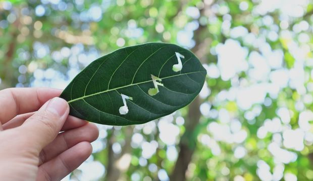 Anksiyete iyi gelen sesler nelerdir?