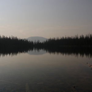 Zihne şifa: Gürültü