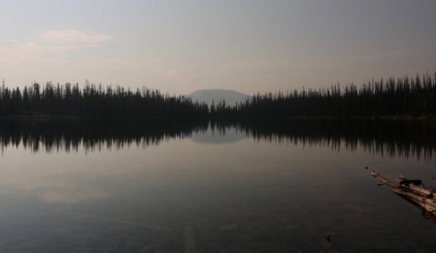 Gürültü çeşitleri nelerdir? Gürültünün faydaları nelerdir?