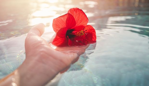 Aylin: Bir kıvılcım